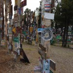 Sign Post Forest - a view to try to show its depth
