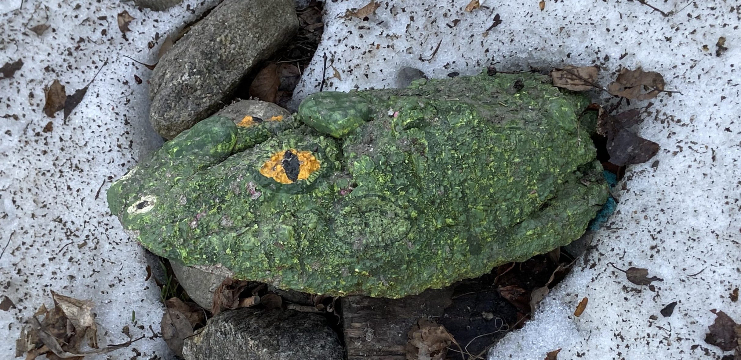 a rock painted to look like a reptilian
