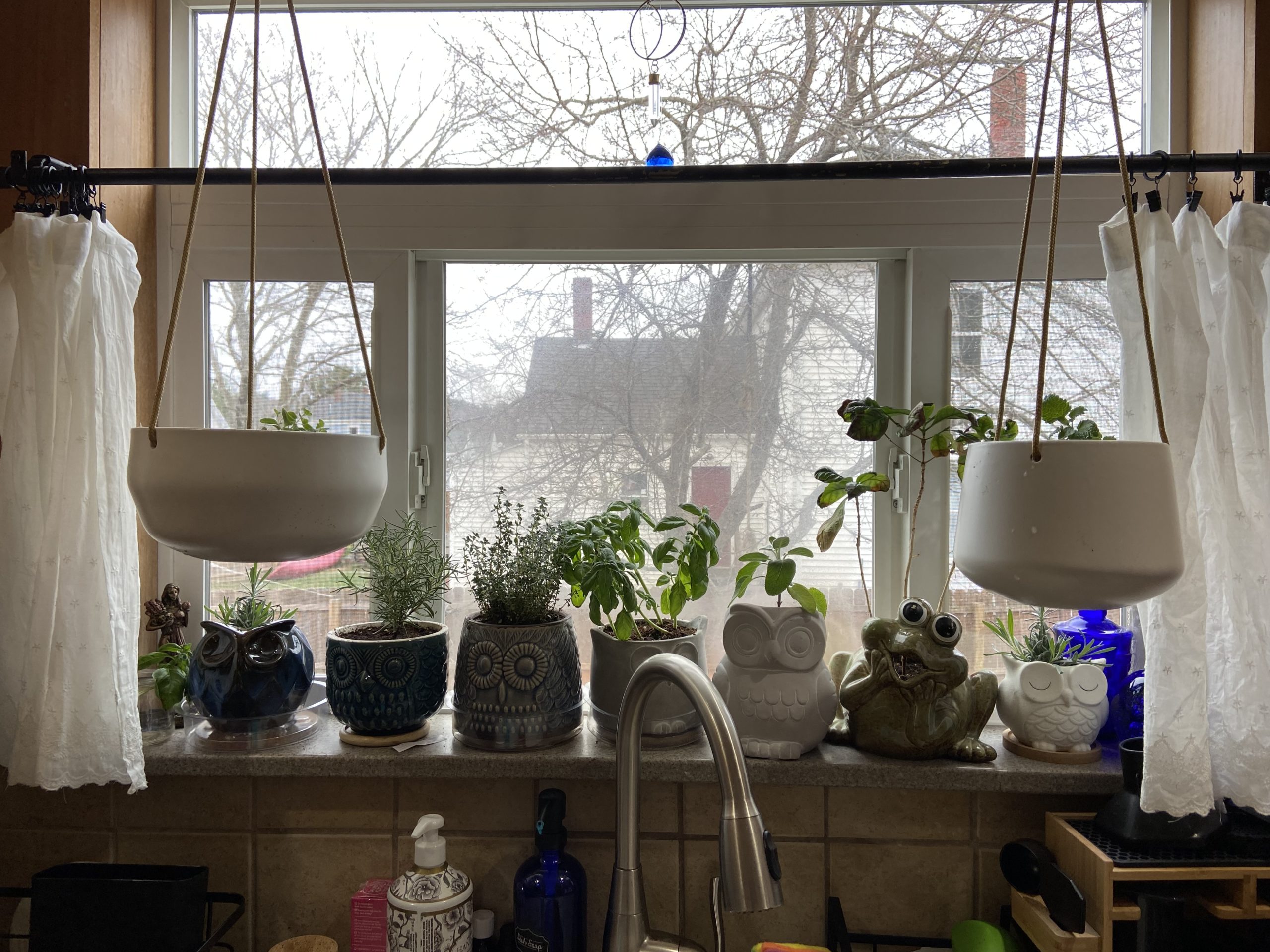 A window full of plant pots.